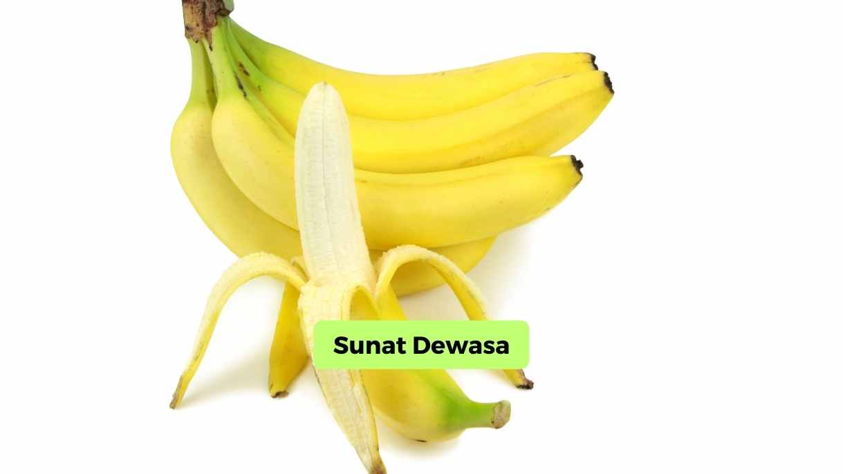 Sunat Dewasa